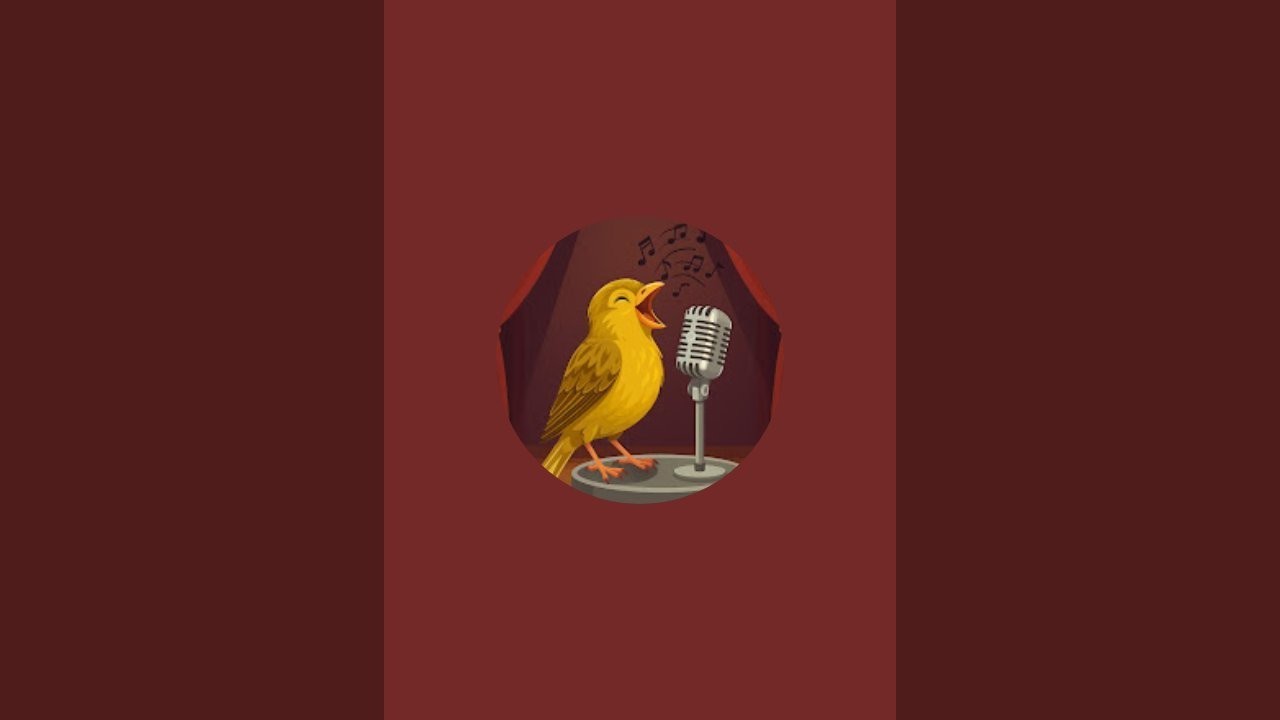 MelodyBirds World is live!