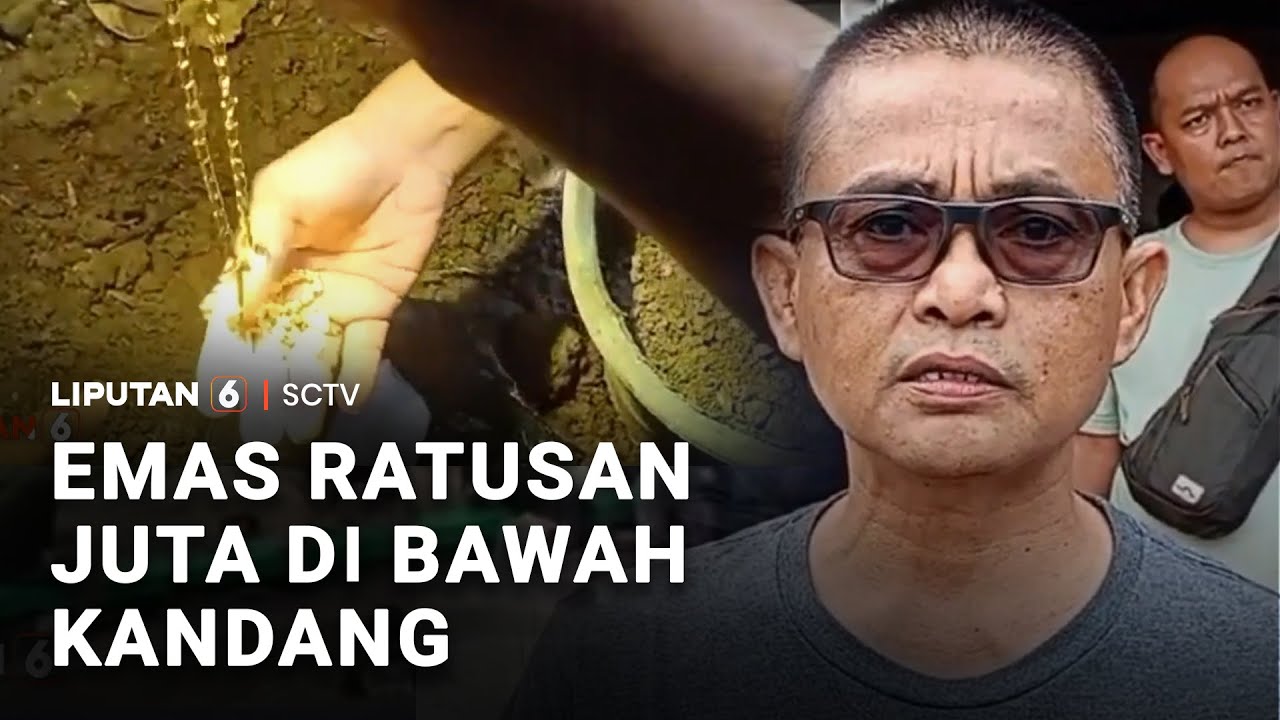 Emas Ratusan Juta di Bawah Kandang Ayam | Liputan 6