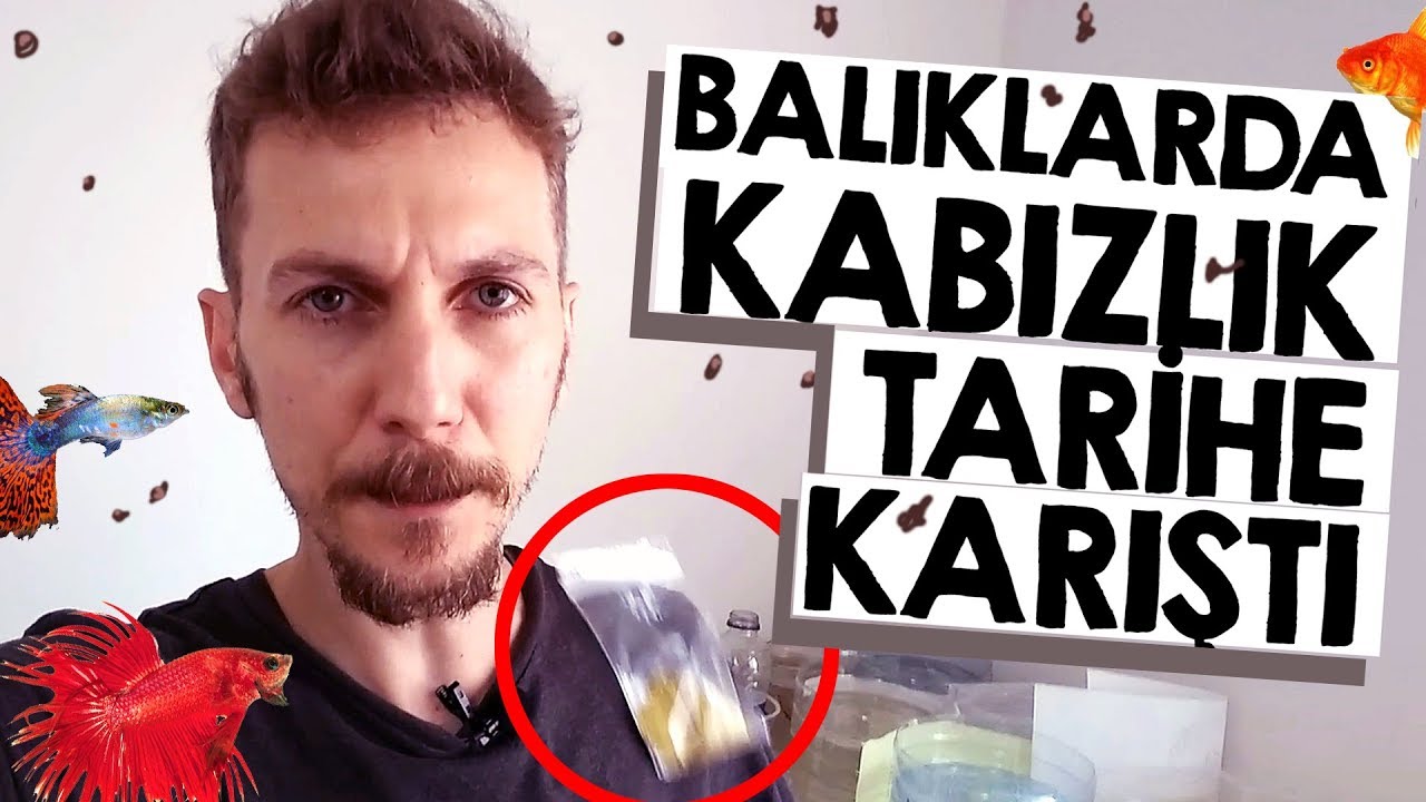 Balıklarda KABIZLIK Tarihe Karıştı - BEZELYE ETKİSİ