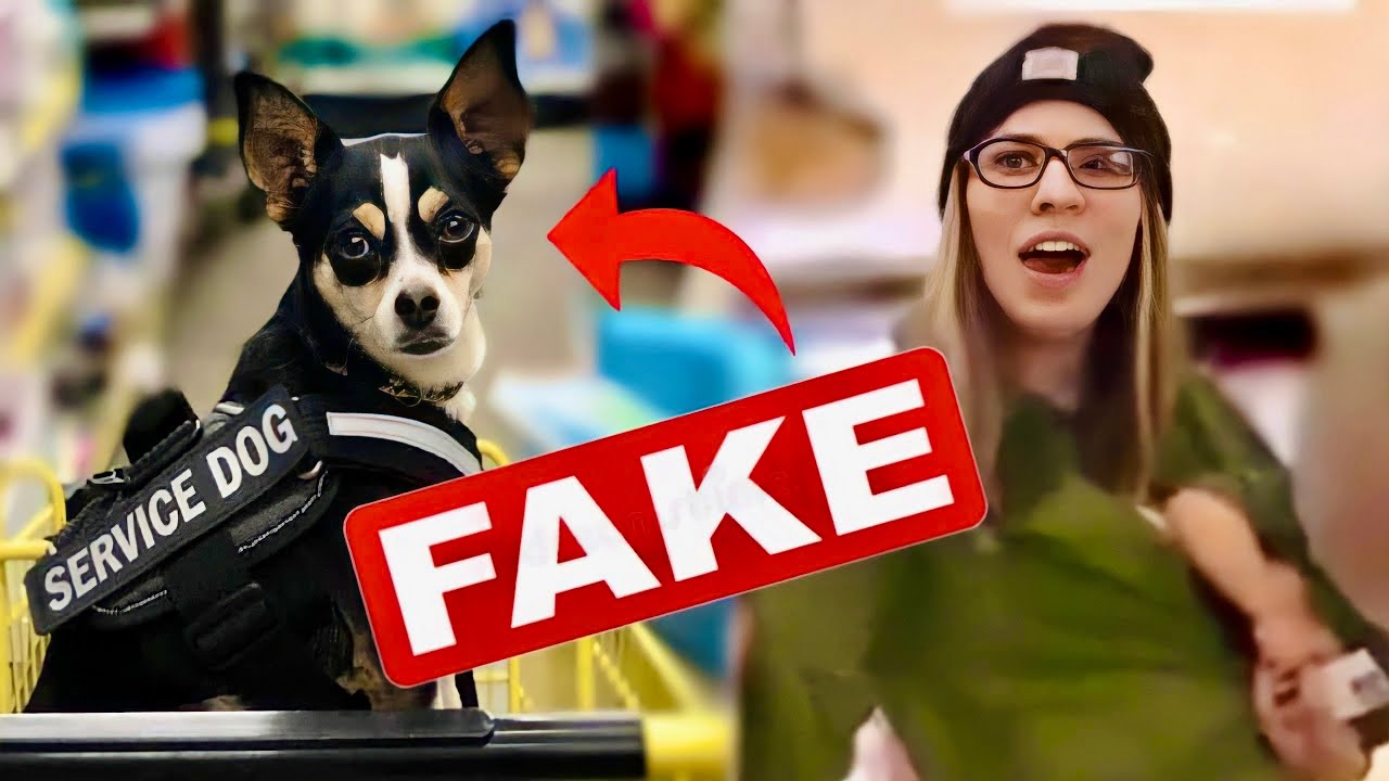 Поддельный беспорядок Cringe: Издание СЛУЖЕБНОЙ СОБАКИ!!