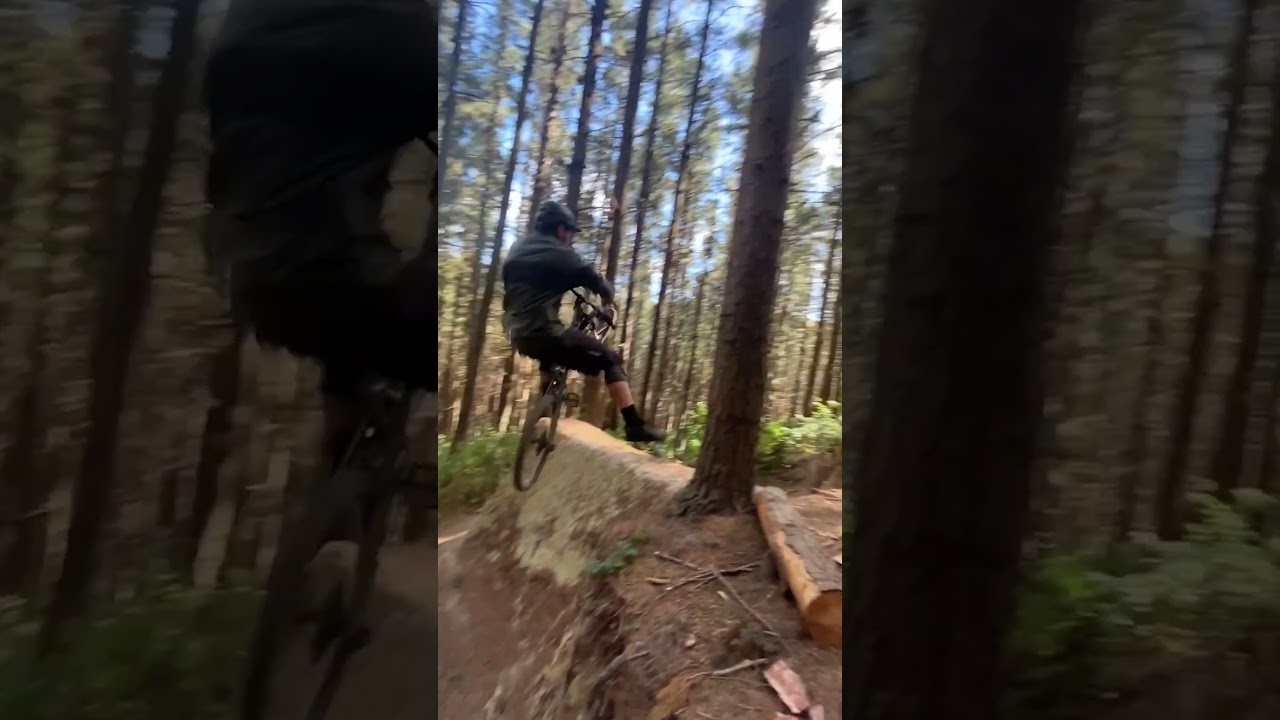 Straight Into The Tree! MTB Gap Jump Gone Wrong⚠️🌲