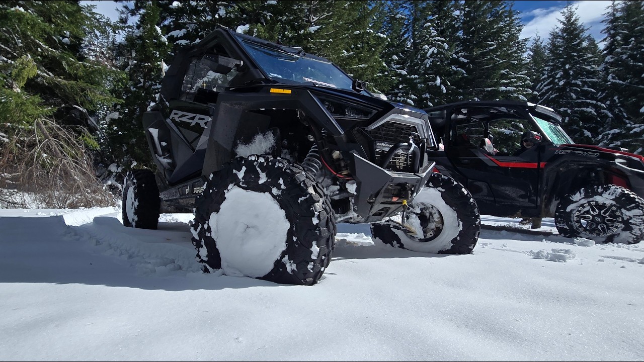 Messing around in the snow Feb 2026