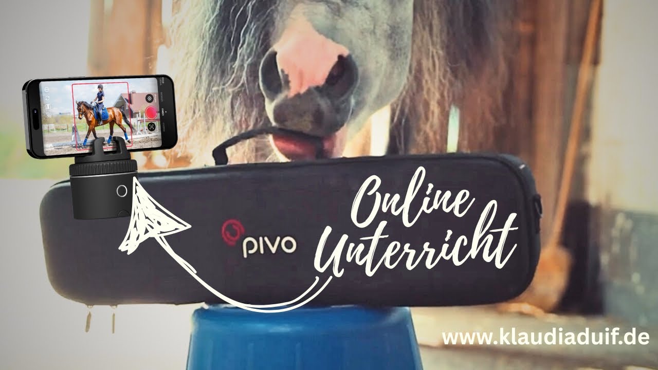 Online Reitunterricht 🐴 Pivo Quickstart mit Klaudia Duif #livecoaching #pferdetraining #bodenarbeit