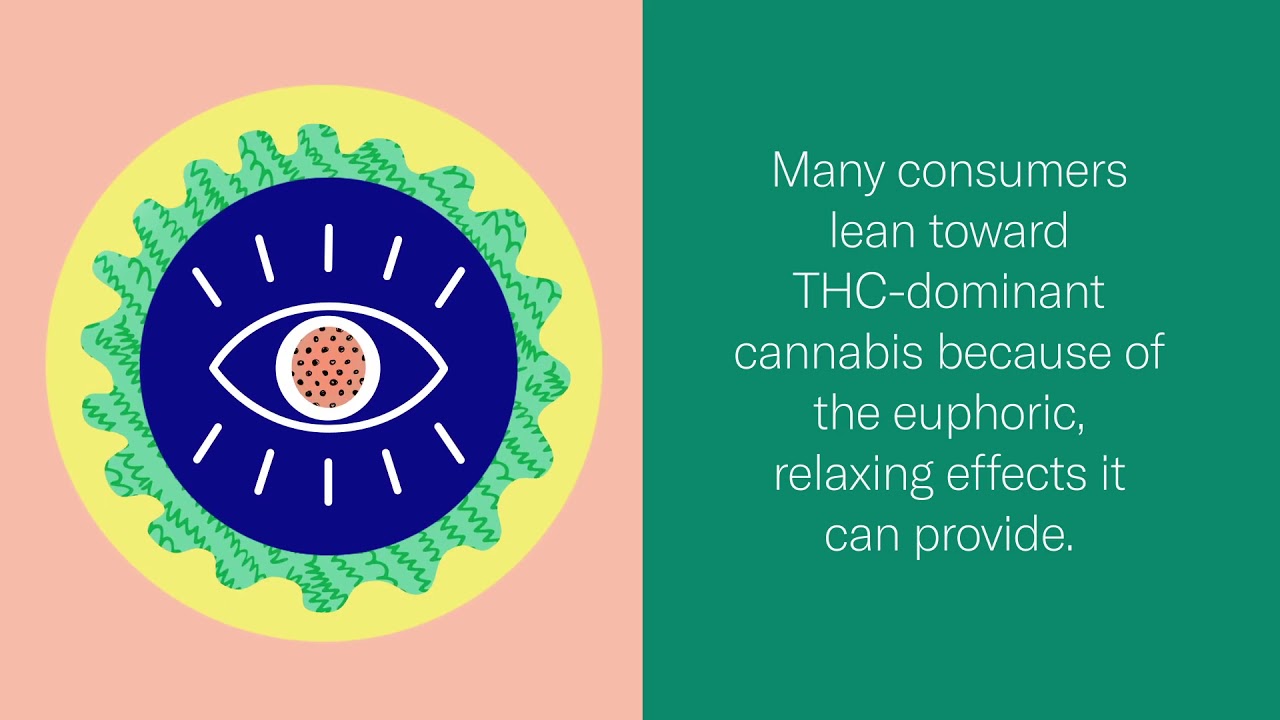 What is THC (tetrahydrocannabinol)? | Leafly