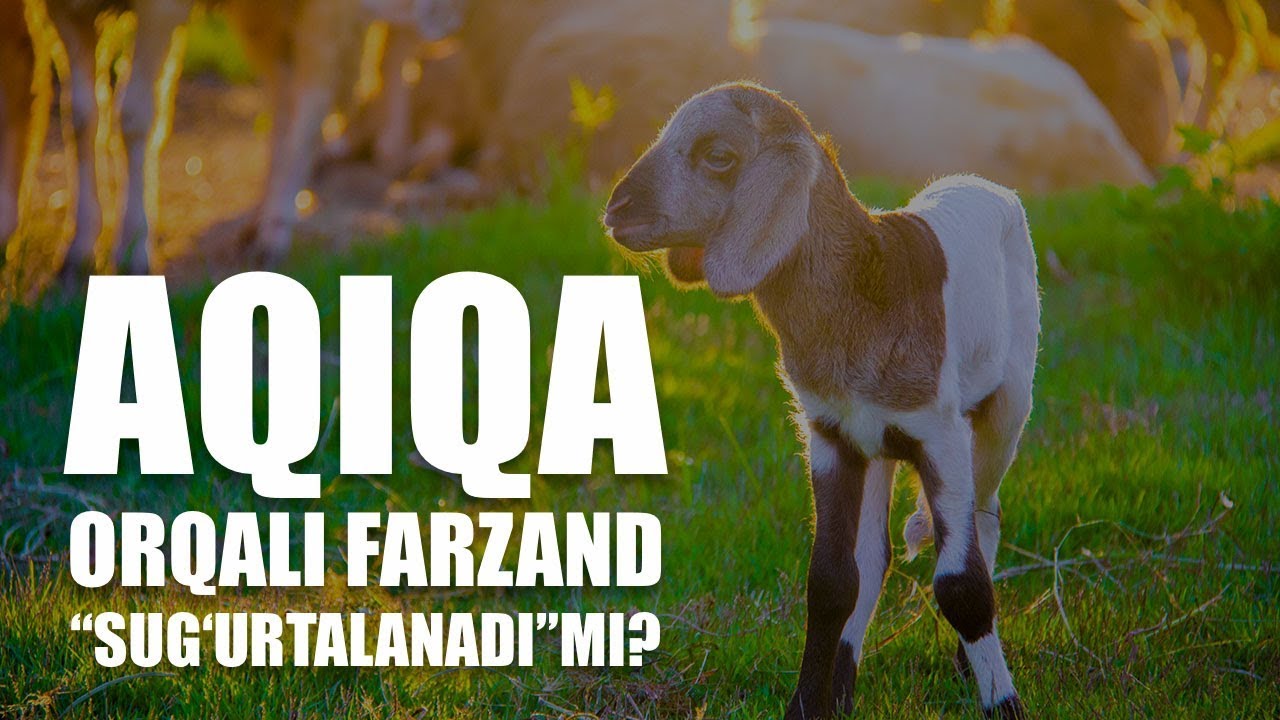 Aqiqa orqali farzand 