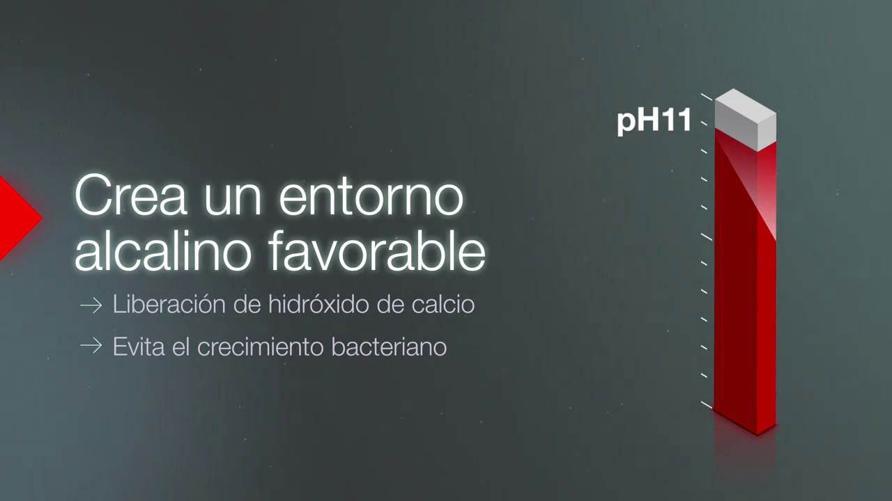 BioRoot RCS - Cementos de obturación de canales de SEPTODONT