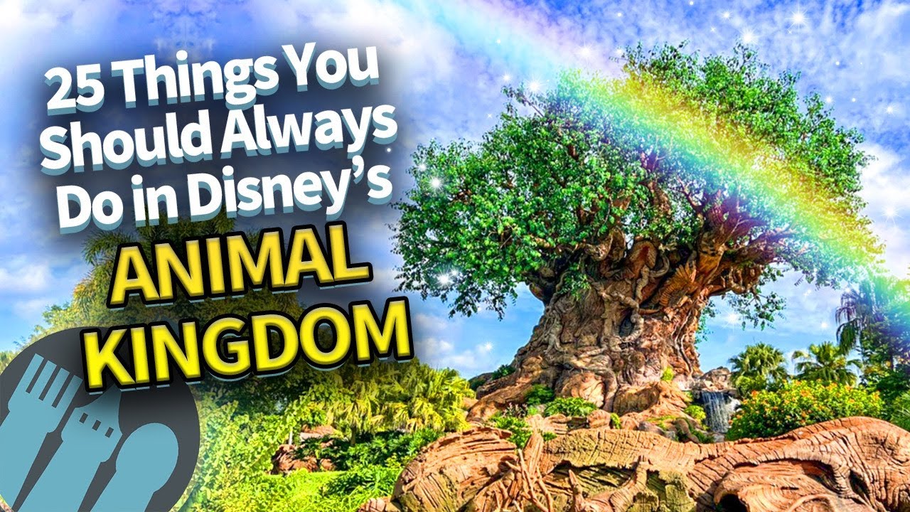 25 Things You Should Always Do in Disney's Animal Kingdom