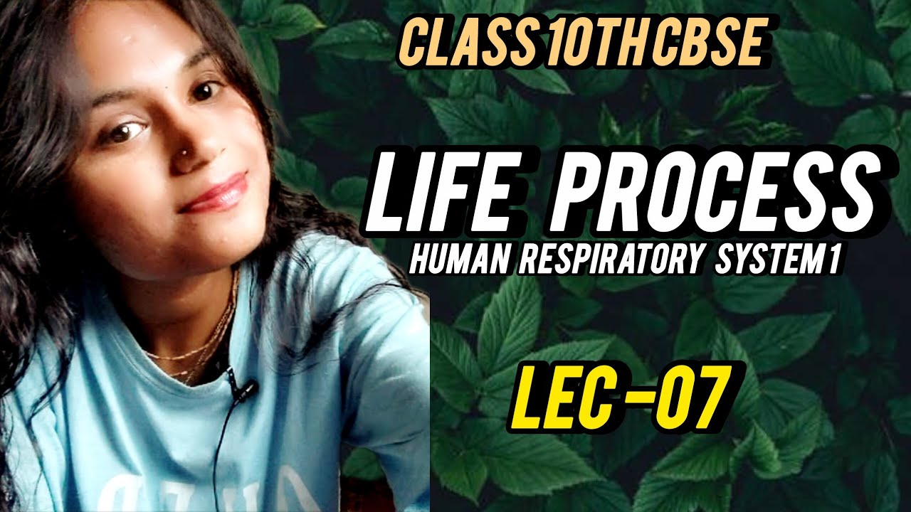  Life Processes –Respiration |Human respiratory System - part 1| |Janhvi Salunke |Class 10 Biology |