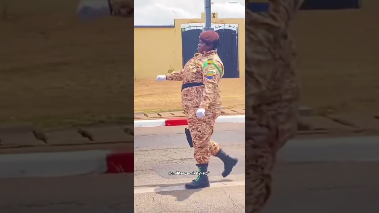 Meet the world's militaries 💀 #funny #military
