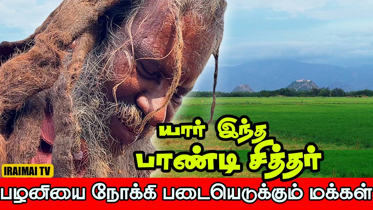 யார் இந்த பாண்டி சித்தர் | சித்தரை தேடி பழனிக்கு படையெடுக்கும் மக்கள் | Palani Pondy Siddhar