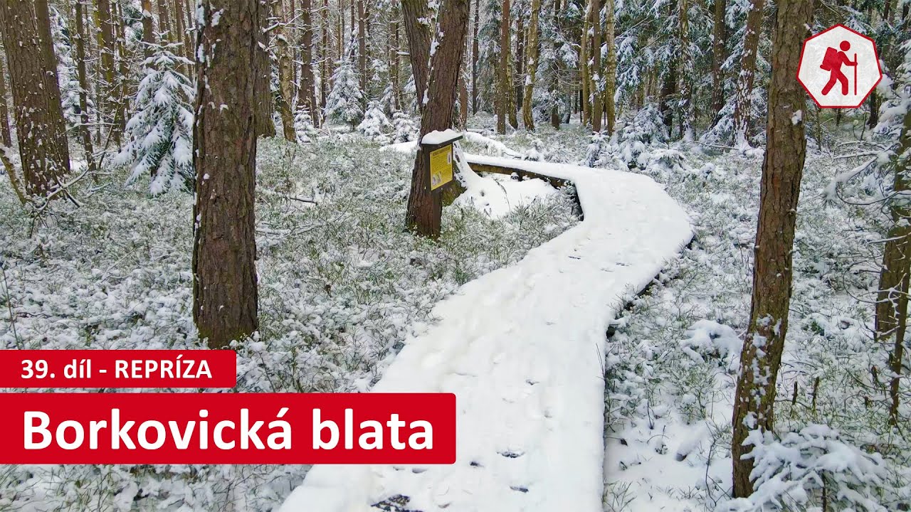 Borkovická blata (CHKO Třeboňsko) | 39. díl (repríza) – Jihočeské víkendy [4K]