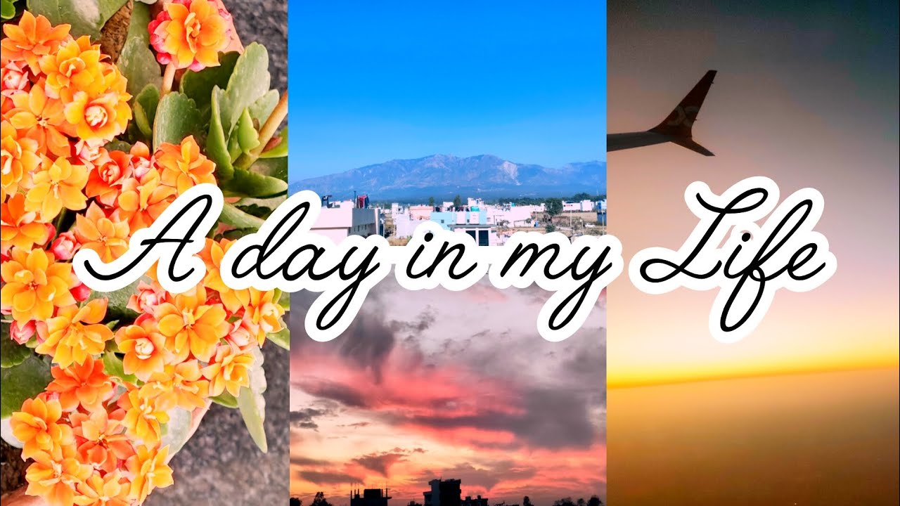 A Day in My Life ✨ ft. An MBA student📚 Productive, Fun & Relaxing Routine!