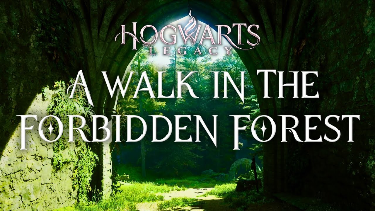 First-Person Walk Through The Forbidden Forest | Harry Potter 4K Music & Ambience | Hogwarts Legacy