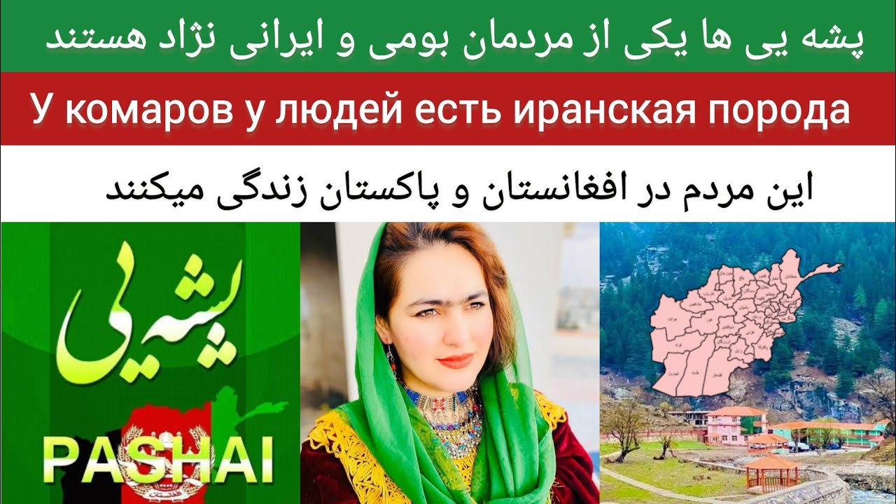 پشه یی ها یکی از اقوام ایرانی تبار اند Комары, один из арийских племен