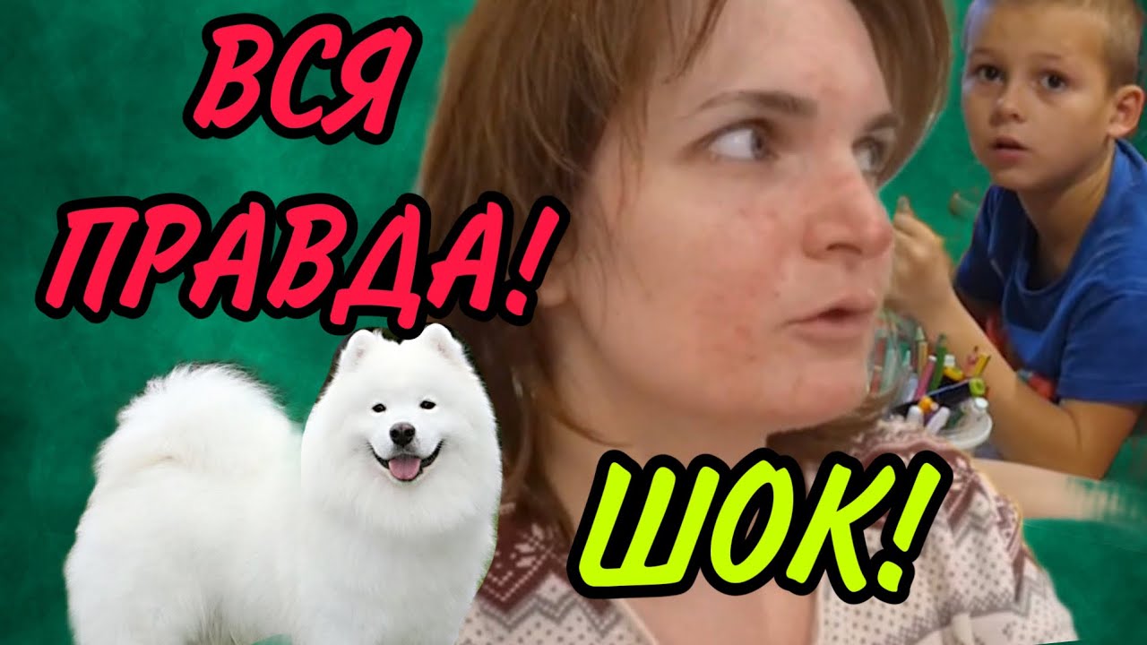 ВСЯ ПРАВДА ПРО УМКУ И СЕРЁЖУ! VREDINA LIFE. ОБЗОР.