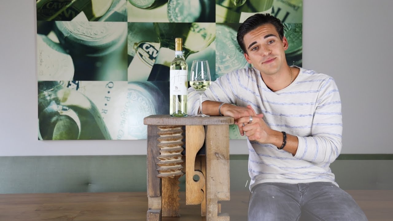 Wein erklärt: Soave Classico DOC Sartori