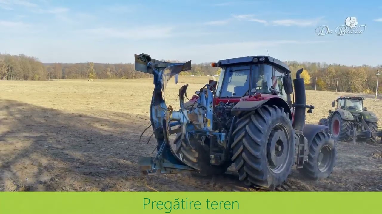 Prezentare Da Bacco 2024