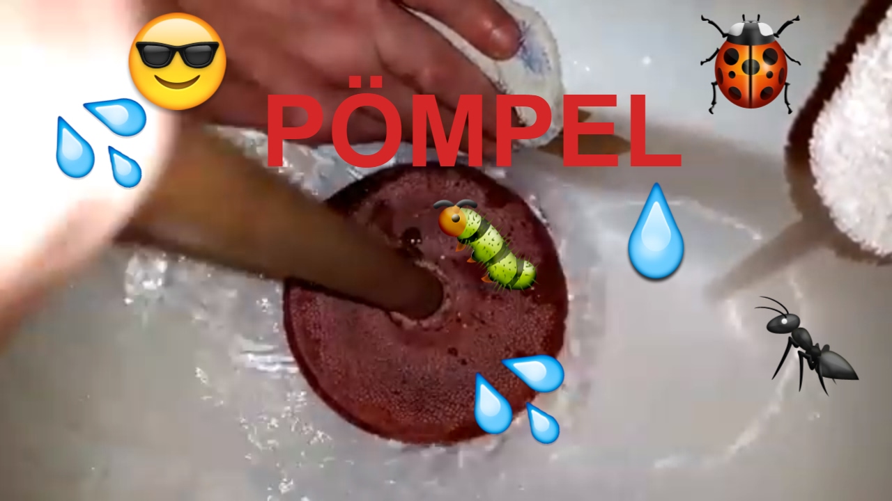 Abfluss verstopft reinigen P&uuml;mpel P&ouml;mpel Saugglocke Waschtisch Waschbecken