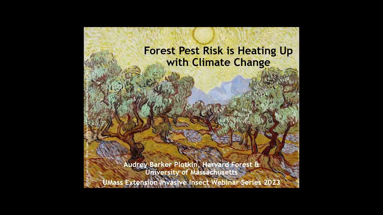 2023 Invasive Insect Webinar Series: Day 1 - Forest Pest Risk, Spotted Lanternfly Updates
