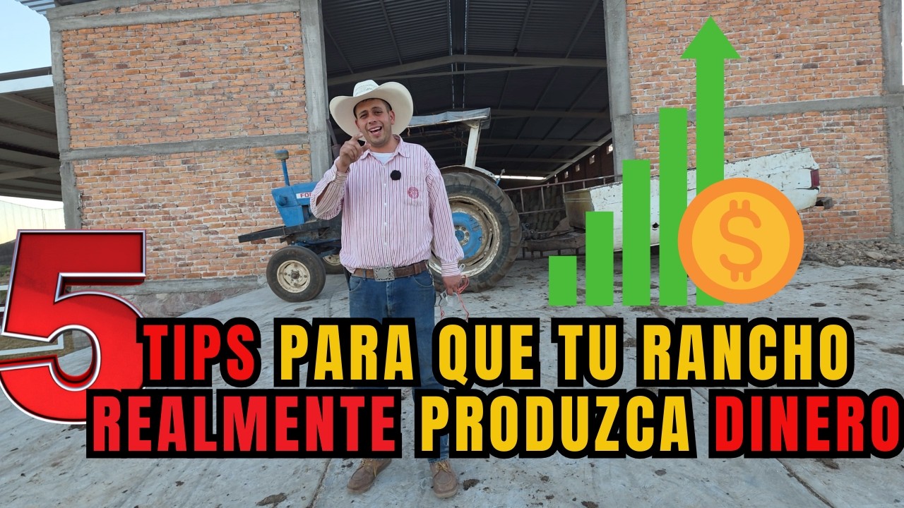 CINCO TIPS para que TU RANCHO REALMENTE PRODUZCA DINERO | la CLAVE del ÉXITO | RancheandoAndo
