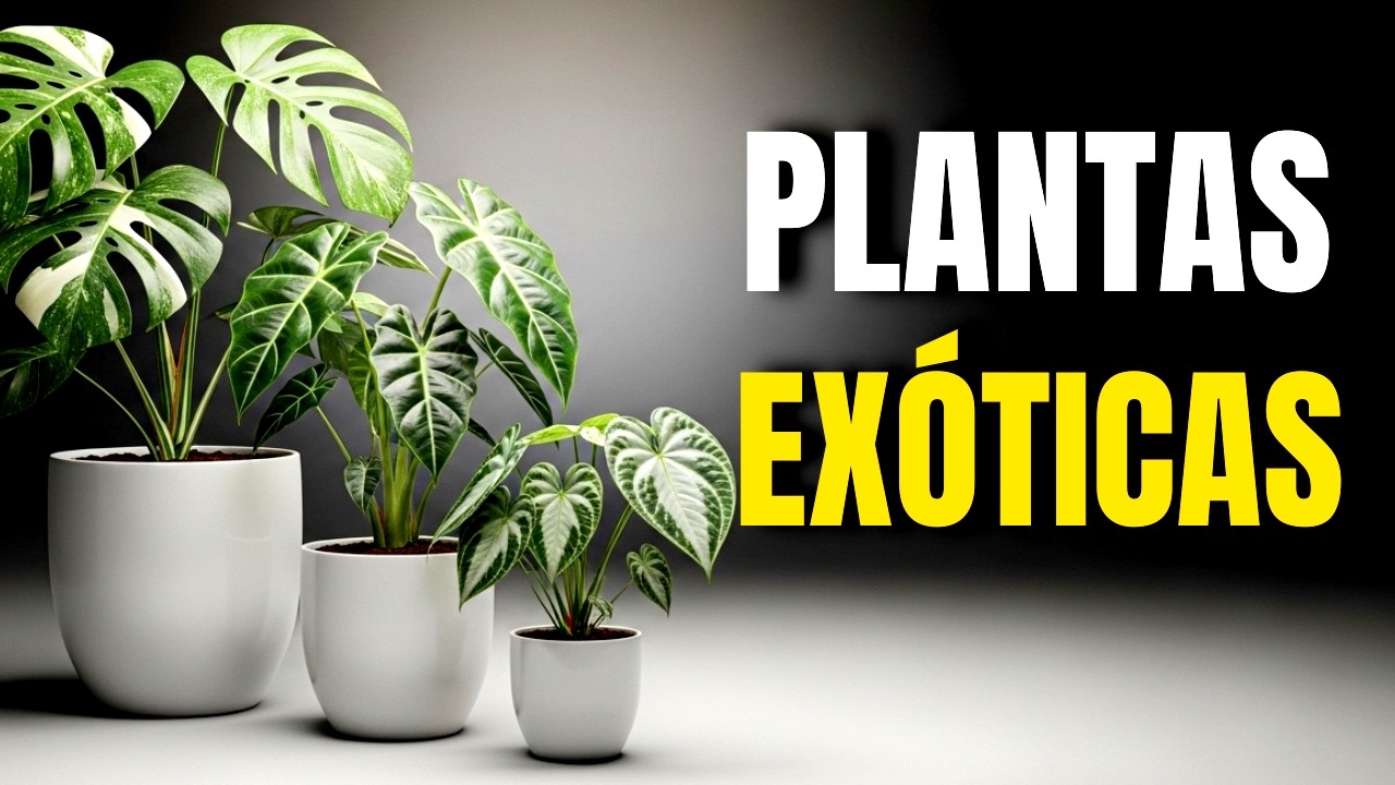 13 Plantas EXÓTICAS que estão ficando caríssimas em 2026