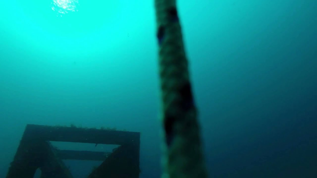 Geographe Bay underwater video 24_4_14