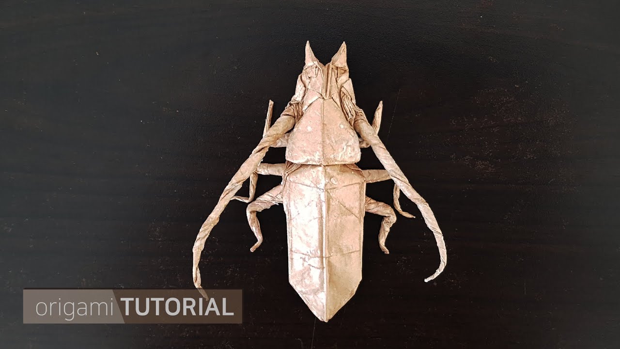 장수하늘소 종이접기 기본편 basic insect origami Callipogon relictus long horned beetle designed by origami折り紙