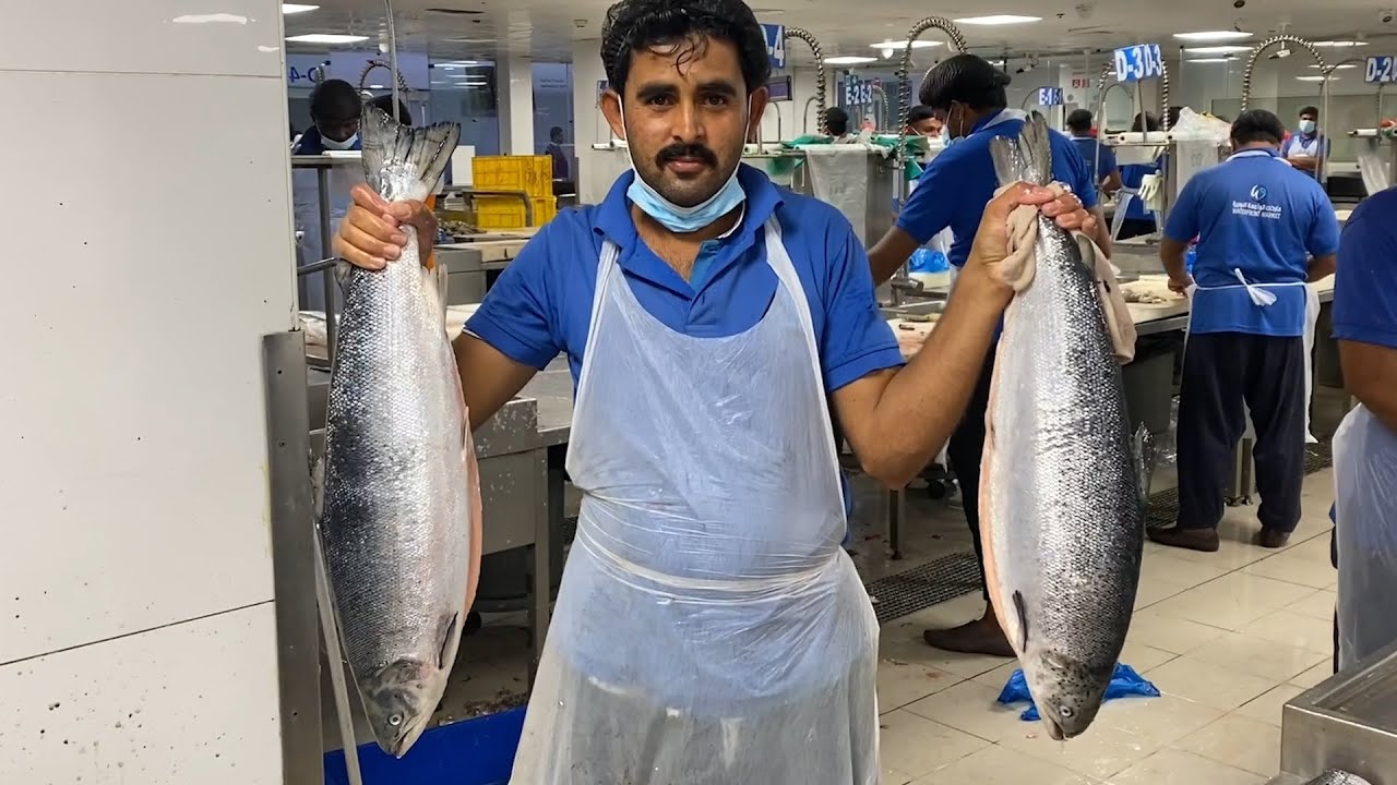 DUBAI FISH MARKET 🔥 SPEED SALMON FISH CUTTING LIVE | IN DUBAI | FISH CUTTING & REVIEW SHOW 🐠🔪
