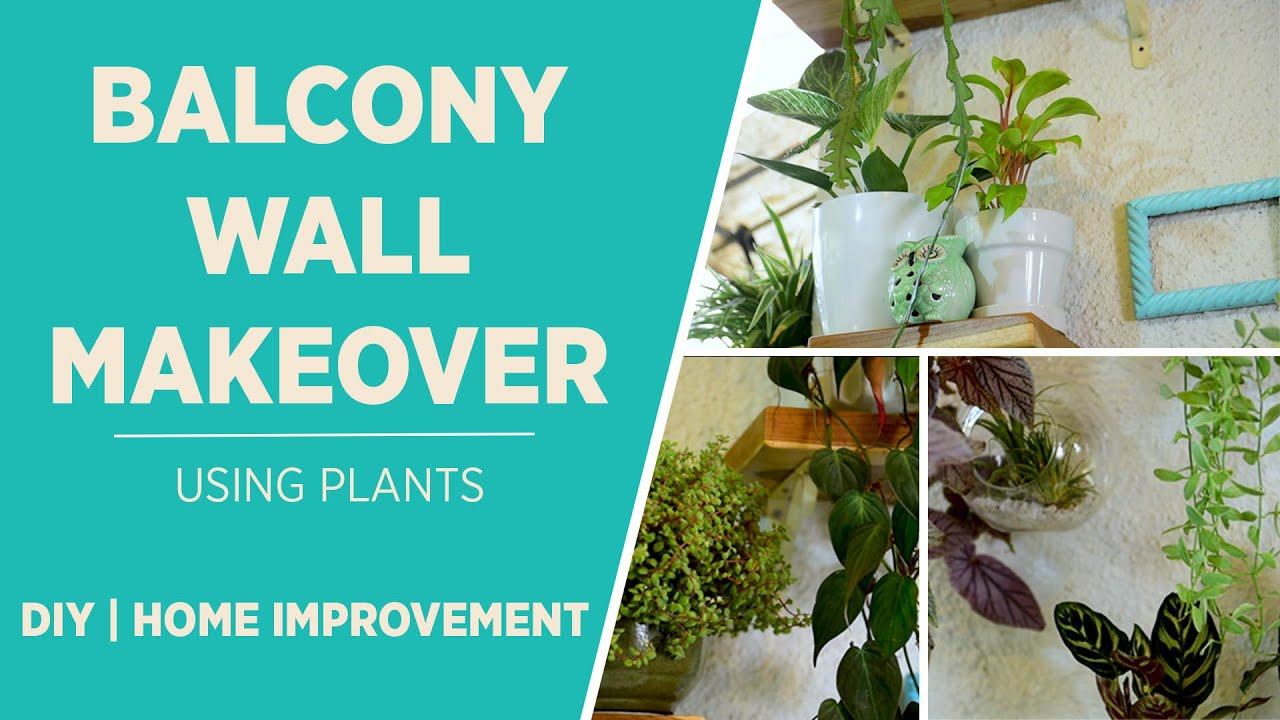 Balcony Wall Plant Makeover| Home Improvement