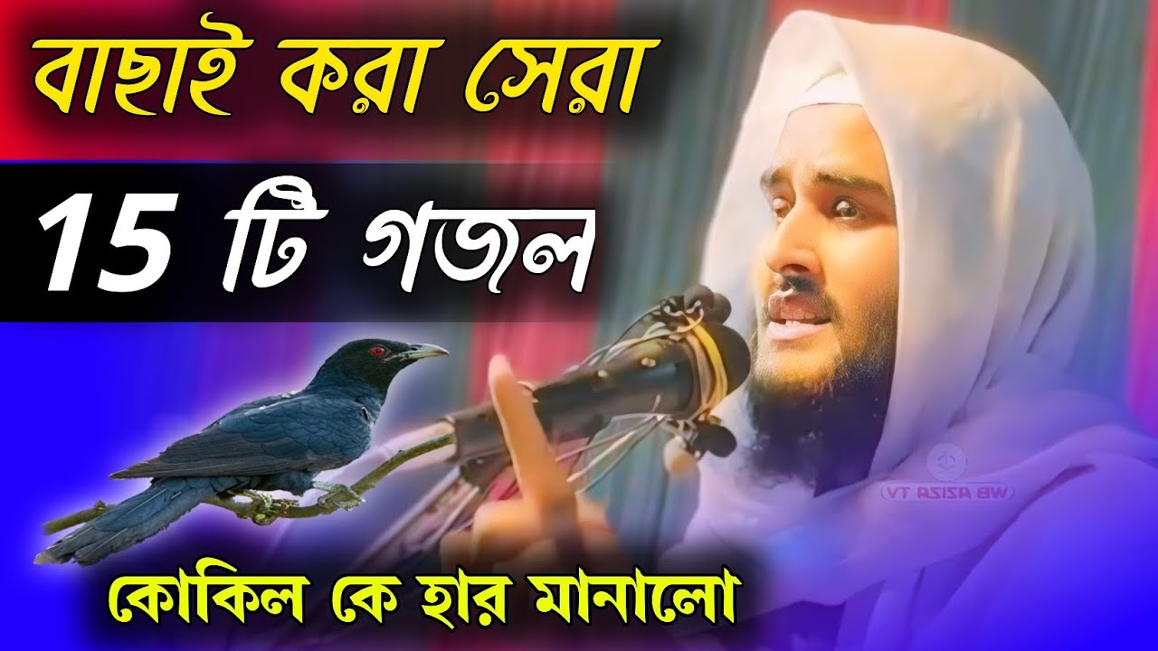 বাছাই করা সেরা ১৫ টি গজল কোকিলকে হার মানালো এ বক্তা হায়দার আলী সালাফি |