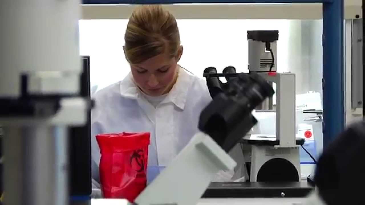 The Science of Individualizing Cancer Therapy