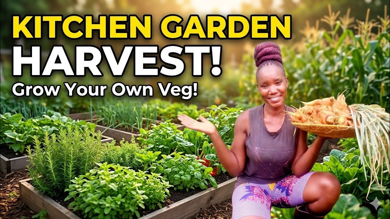 Harvesting Giant carrots ,spring onions goes to country side Market Sell|| Rural  kitchen Garden🥬🍅🌽