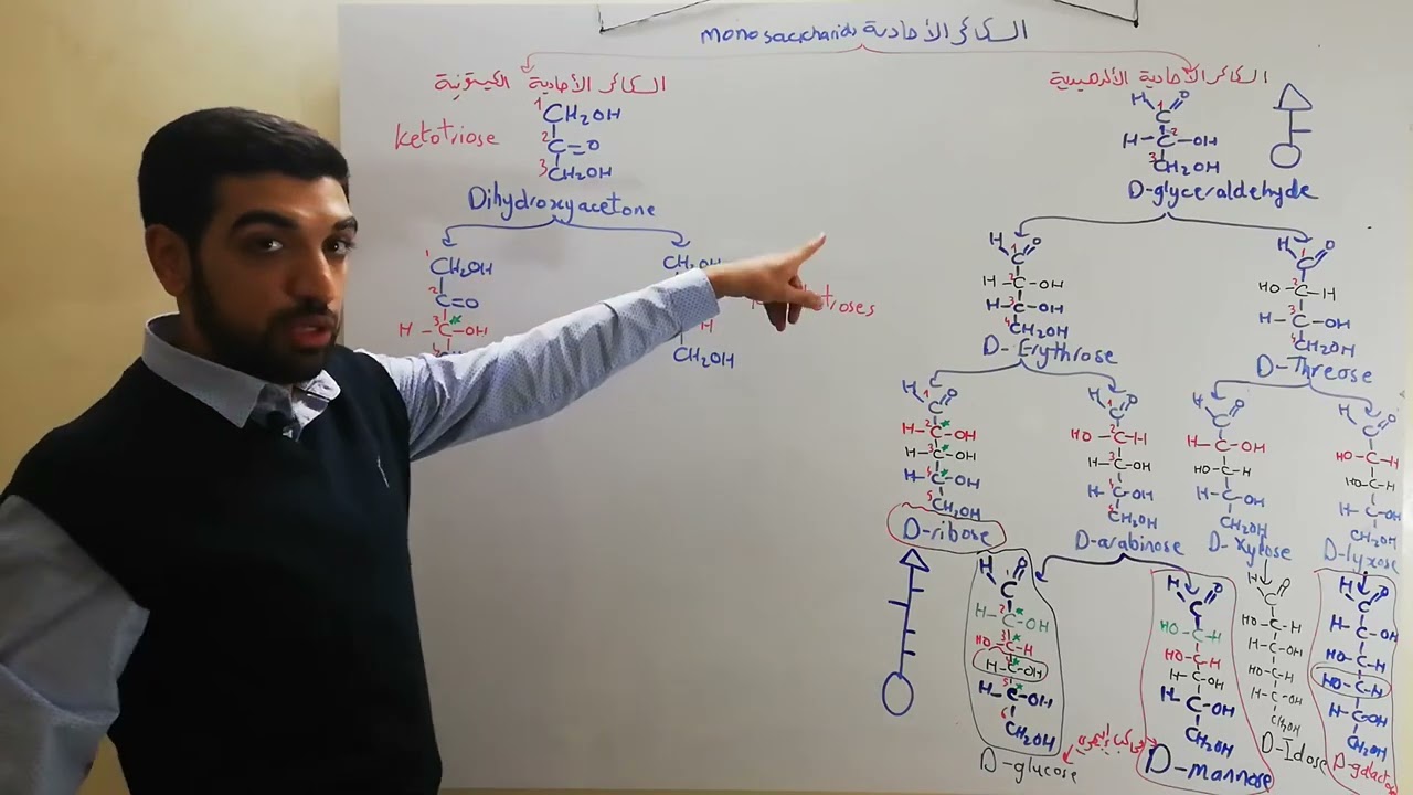 السكريات الكيتونية