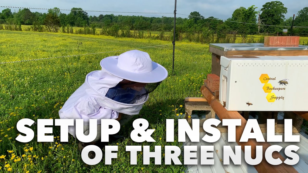Setup & Install of 3 Nucs  | Our Farm on 60 (Nuc Installation)