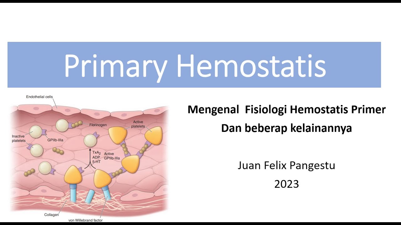 Fisiologi Hemostasis Primer : Mengenal Mekanisme aktivasi dan Agregasi Trombosit dan kelainannya