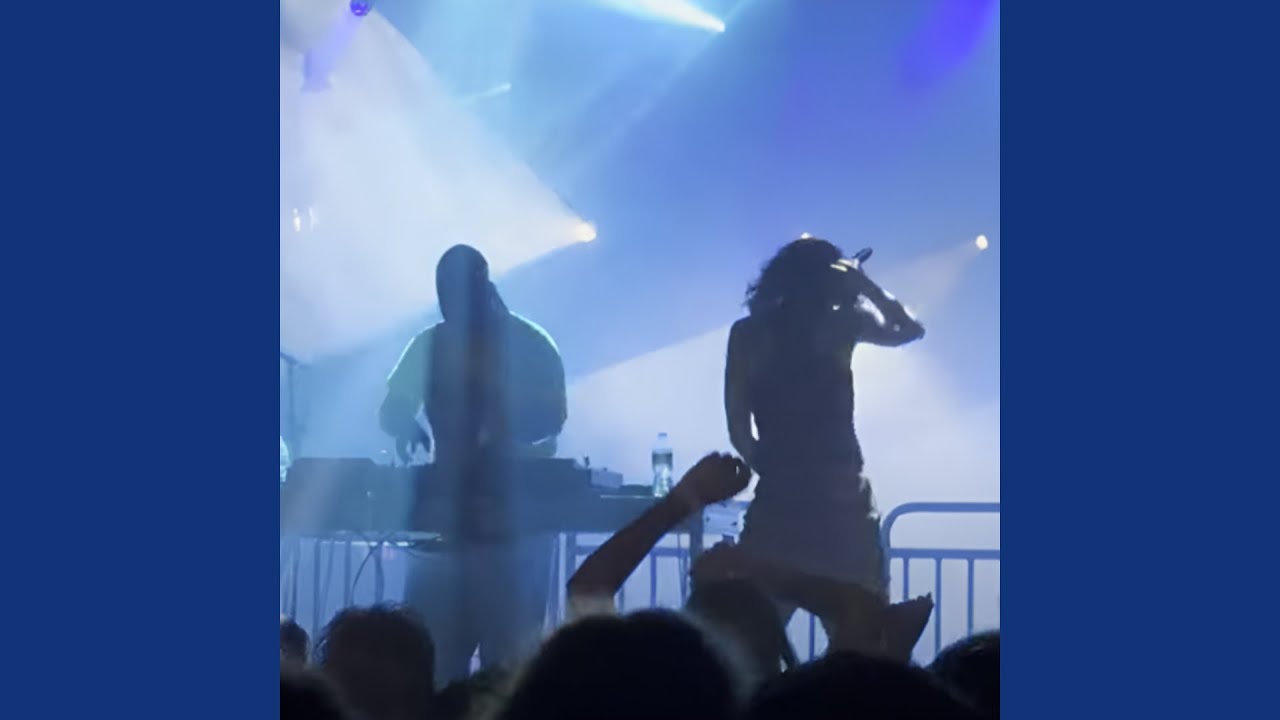 leroy — CROWDKILLING 101