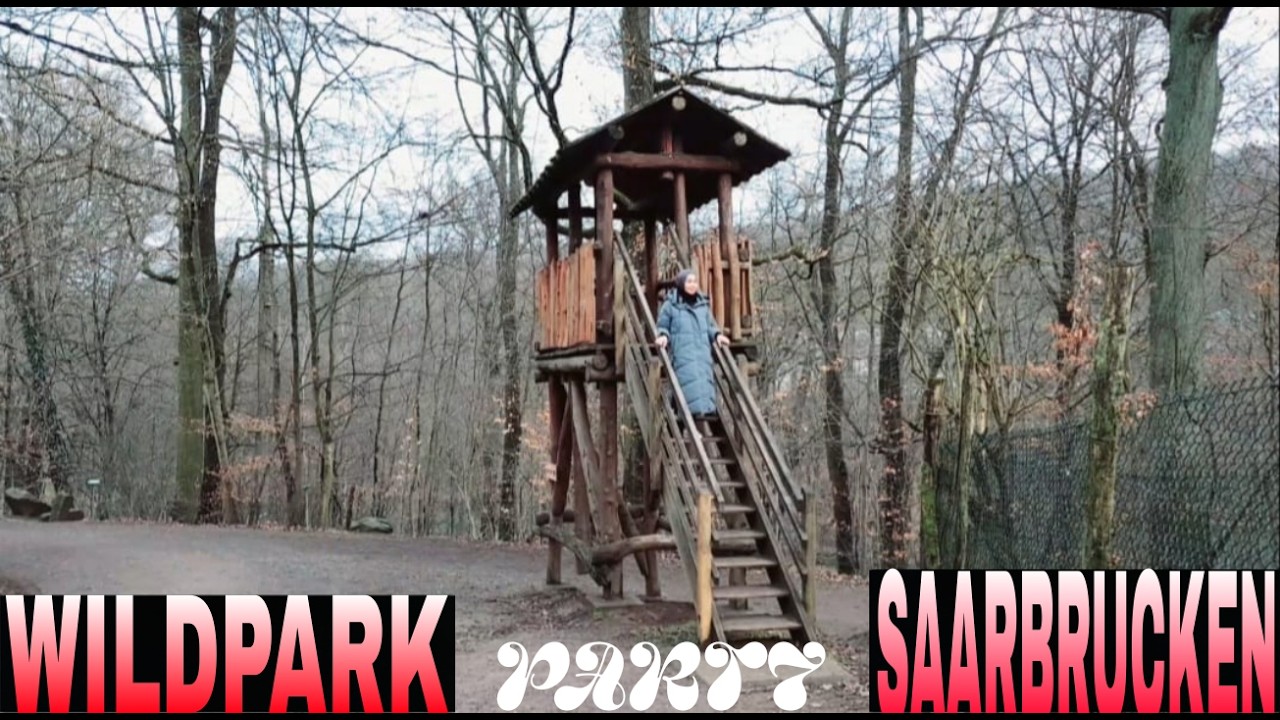 BERBAGAI JENIS BEBATUAN DI WILDPARK SAARBRÜCKEN #PART7