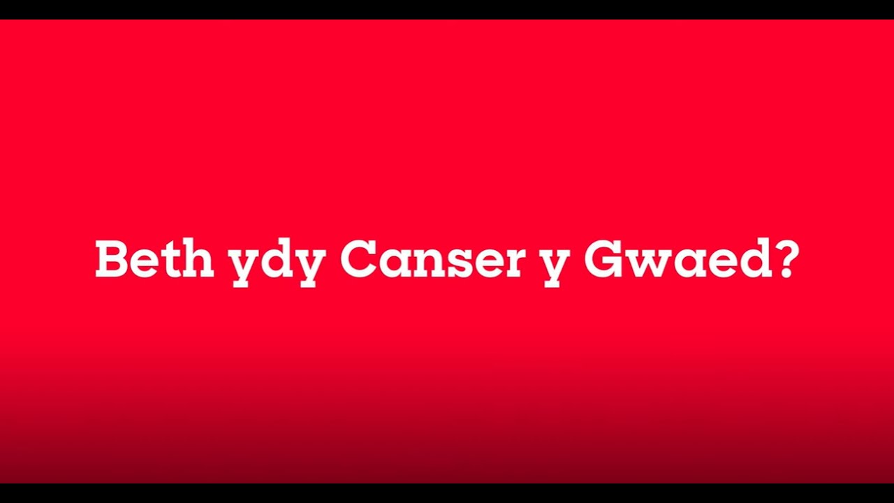Blood cancer information in Welsh | Gwybodaeth am ganser y gwaed yn Gymraeg