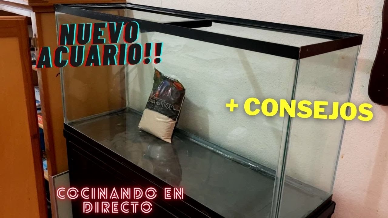 Montaje Acuario 160 litros + Consejos! (I Part)