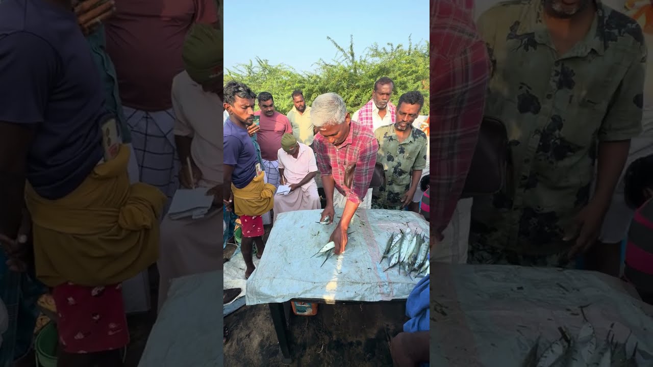 போட்டி போட்டு ஏலம் கேட்கும் மக்கள் || muthukkuda fish market