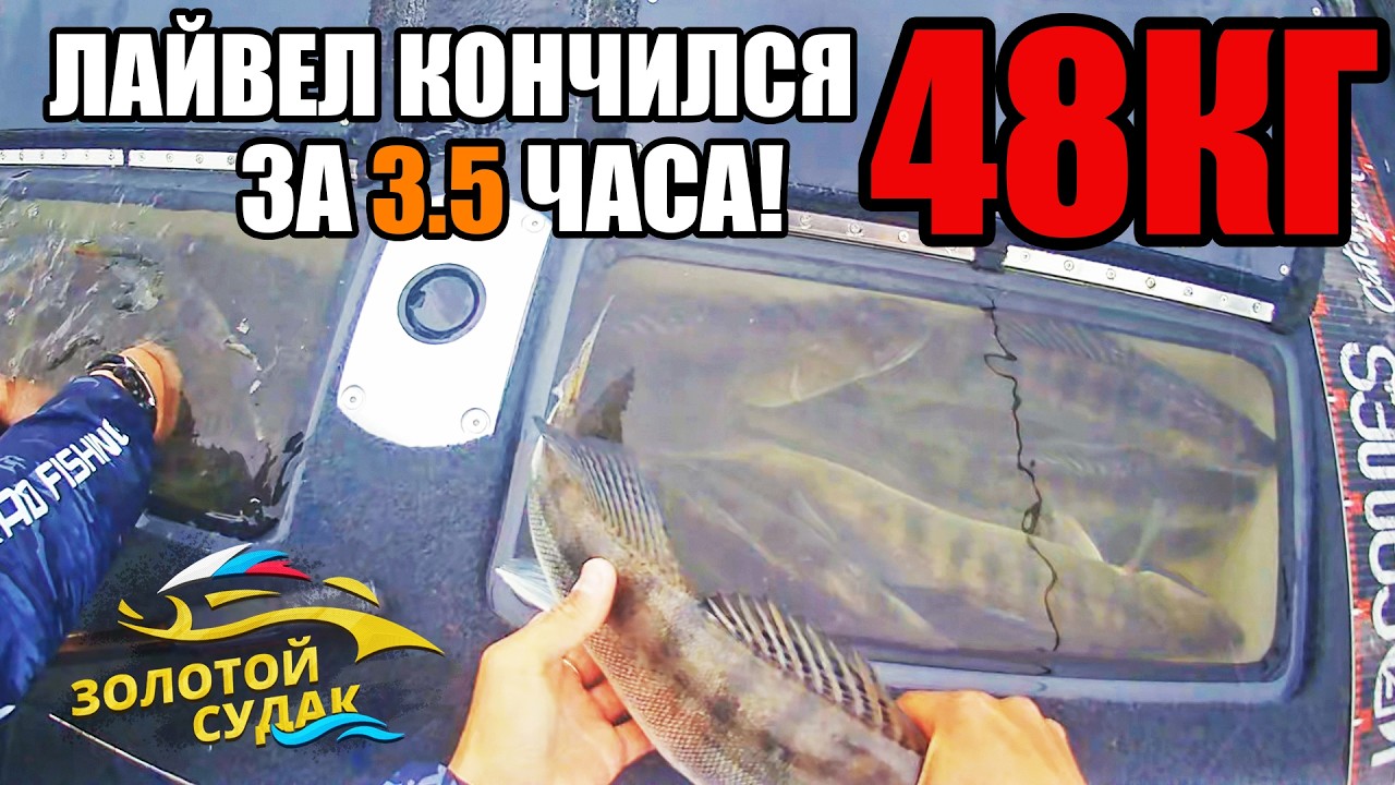 Рекорд России по СУДАКУ! Секреты рыбалки от Чемпионов | Рыбалка в Астрахани и турнир «Золотой Судак»