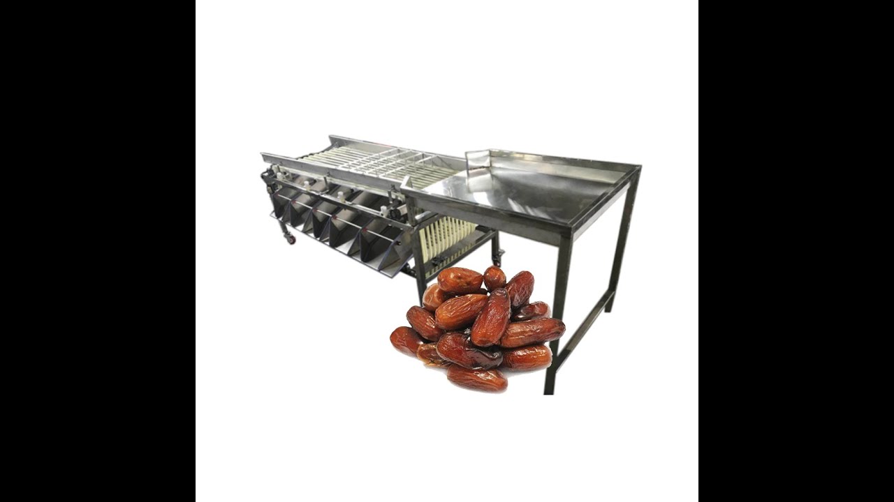 Dates Classifier Jujube Grading Date Palm Sorting Machine