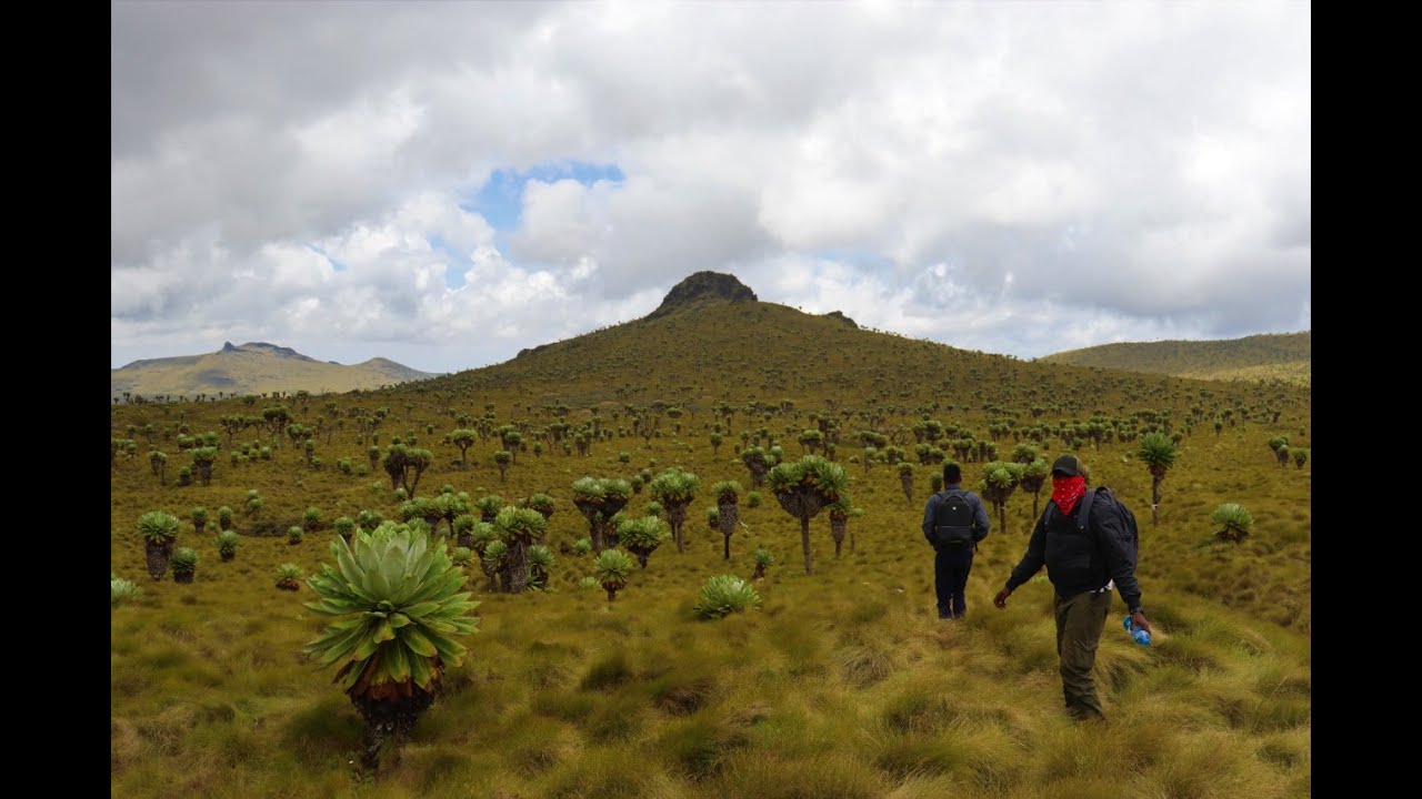 HIKING RURIMERIA PEAK IN THE ABERDARES (The views never disappoint)