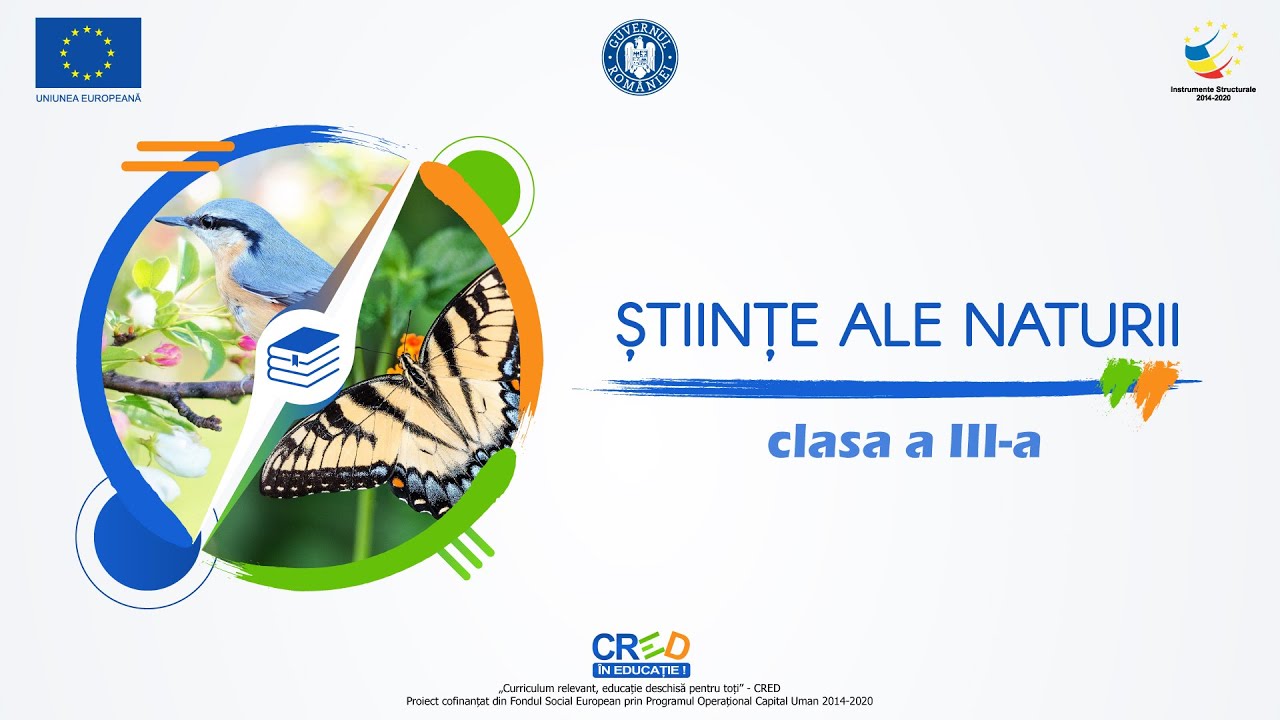 Mișcare și repaus