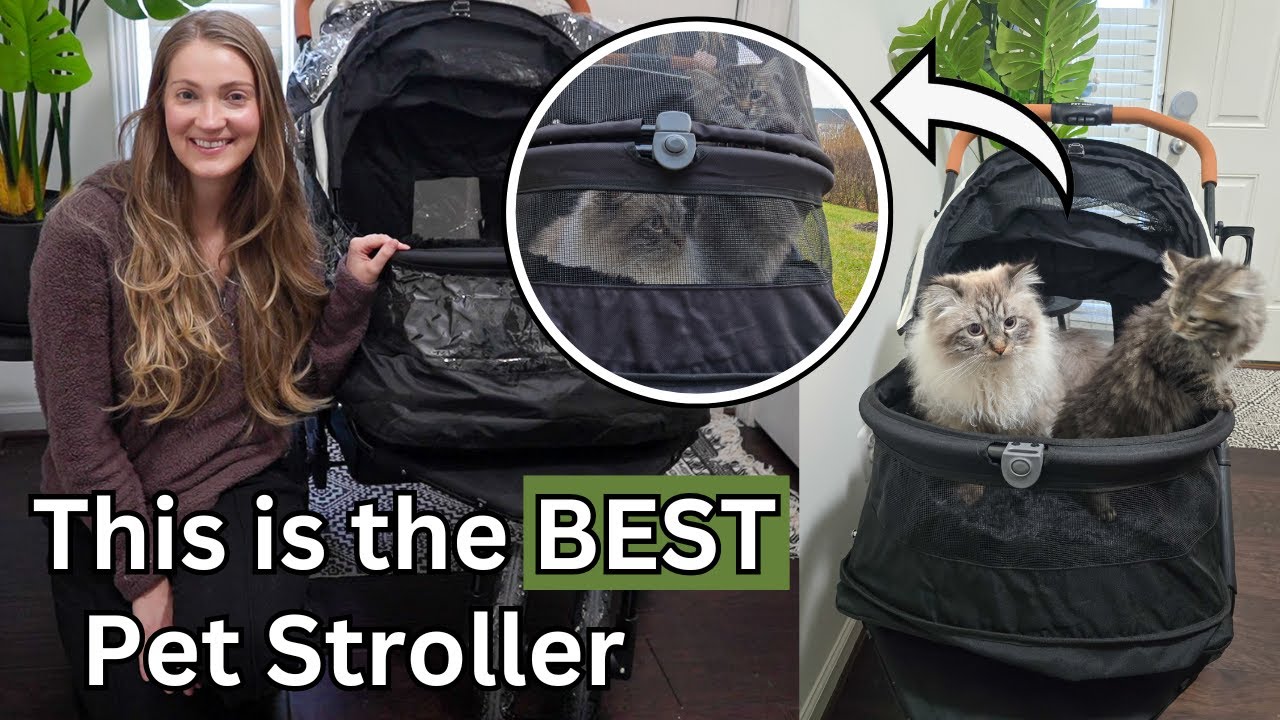 Pet Gear Double No Zip Pet Stroller Review