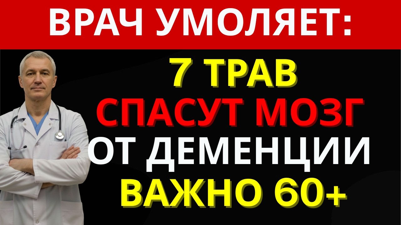 7 трав для мозга после 50: как Виктор вернул память после инсульта | ДОКТОР 55+