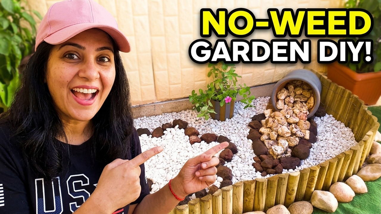 Ideas for Low-Maintenance Gardens | Easy Garden Landscaping