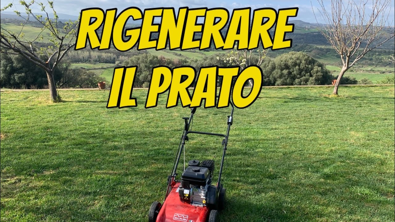 Rigenerazione tappeto erboso , verticut lame - risemina - concimazione