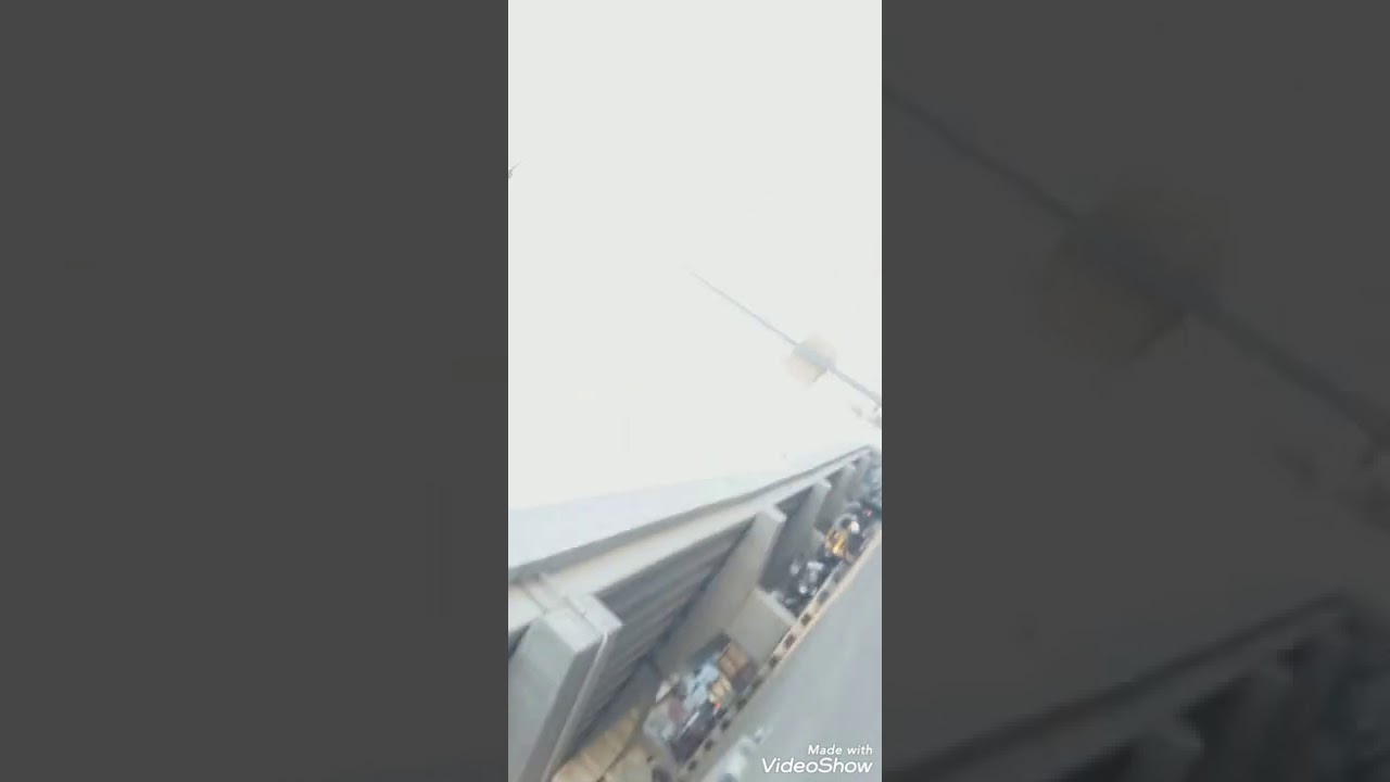 فائده كبيره جدا اللي بشلا