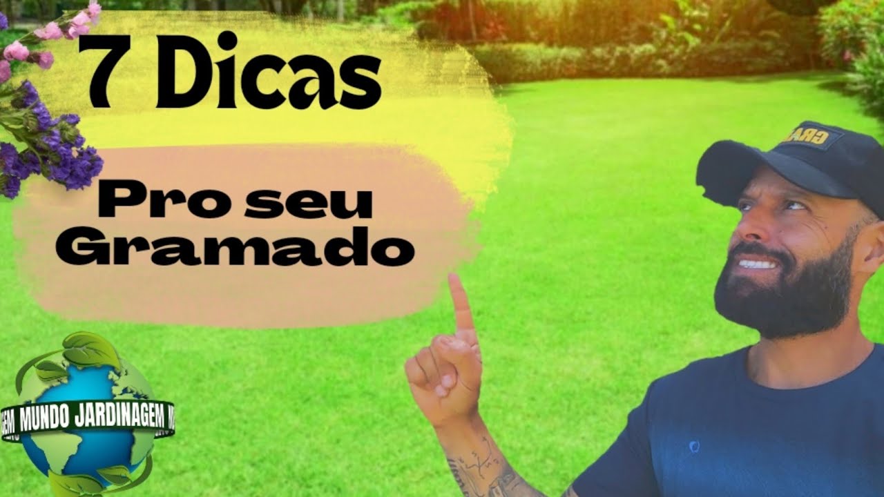 Como manter seu gramado perfeito.